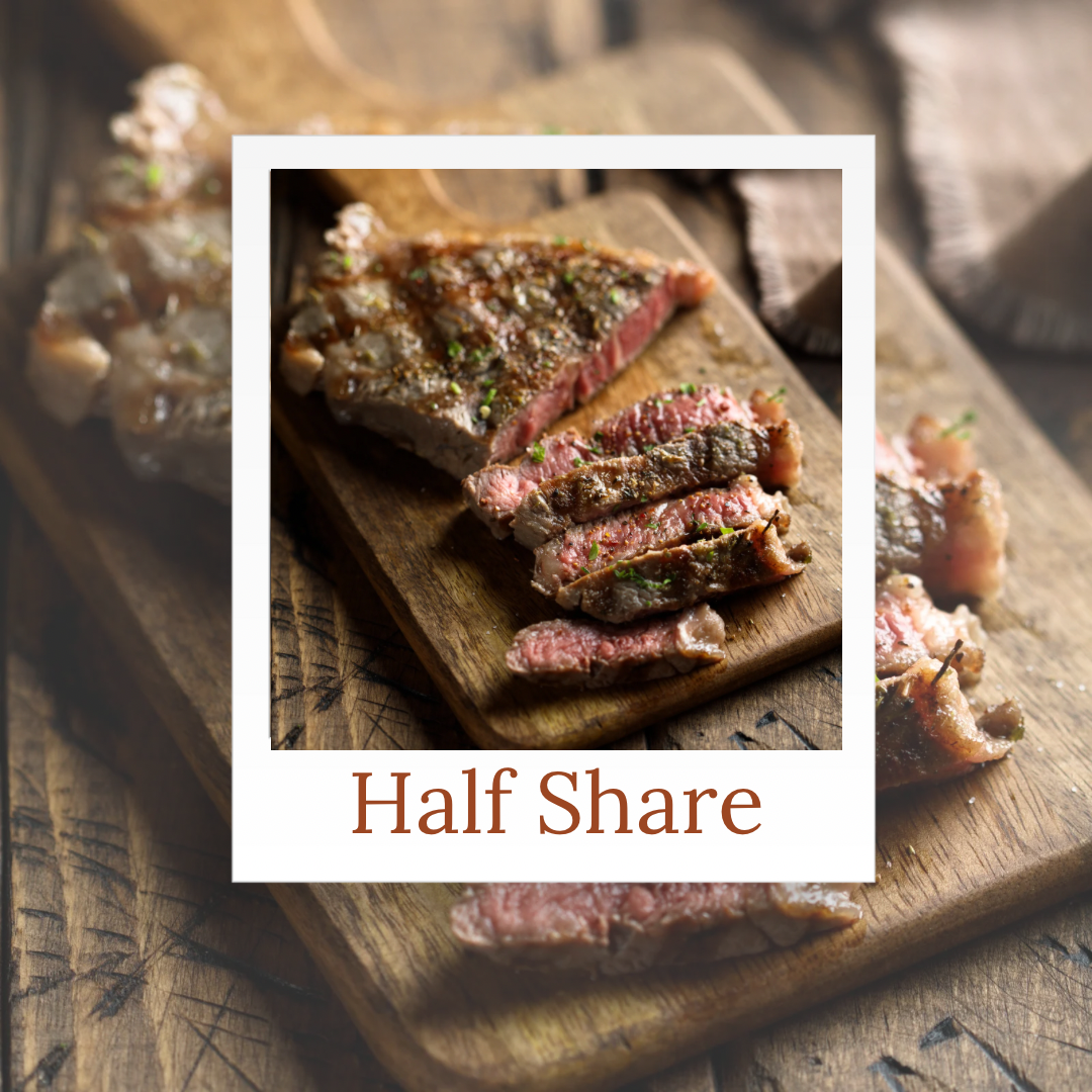 Half Beef (Fall 2025)